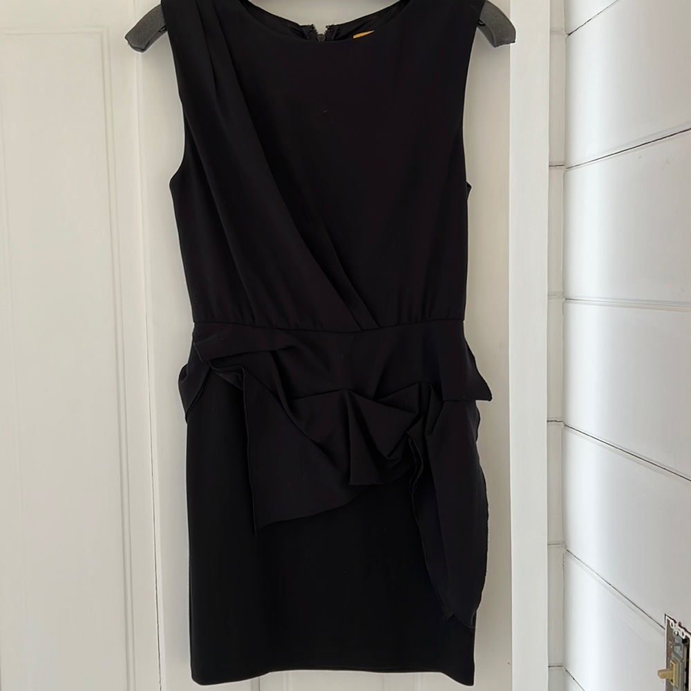 Alice and Olivia black mini
